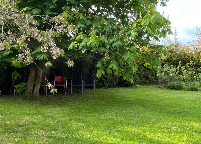 Apartament +authentic+