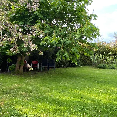 Апартаменты +authentic+