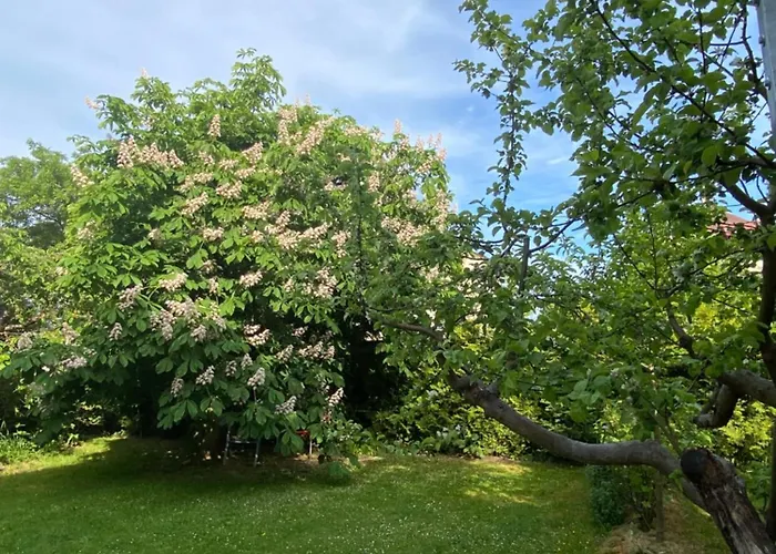 +authentic+ * Mariánské Lázně