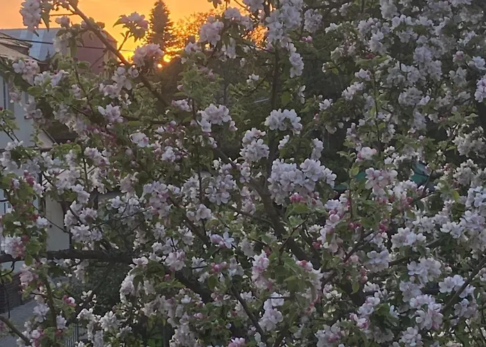 +authentic+ Lägenhet